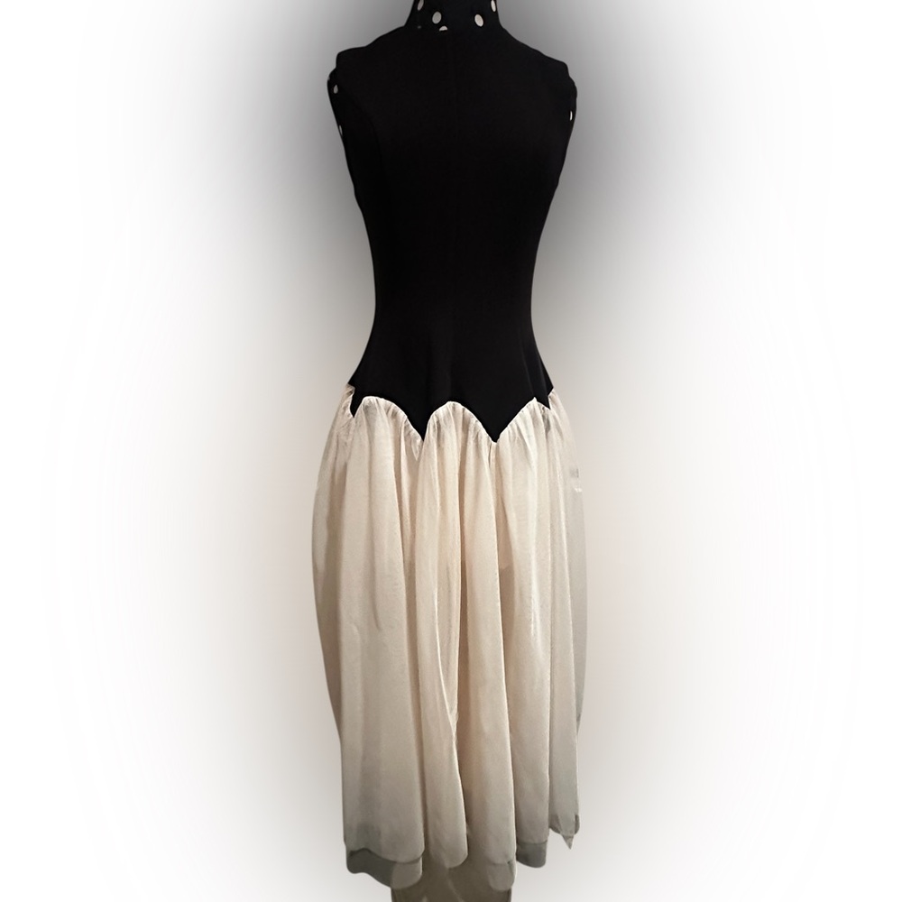 Black and White Fitted Bodice Dress - Picture 2 of 2